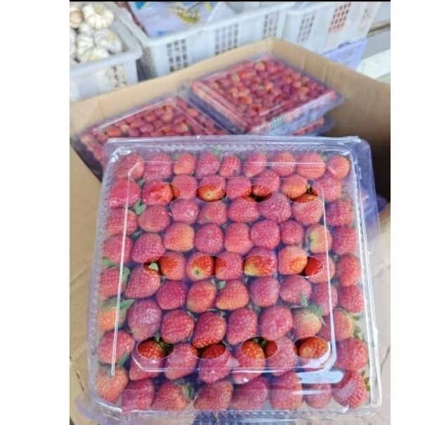 

strawberry