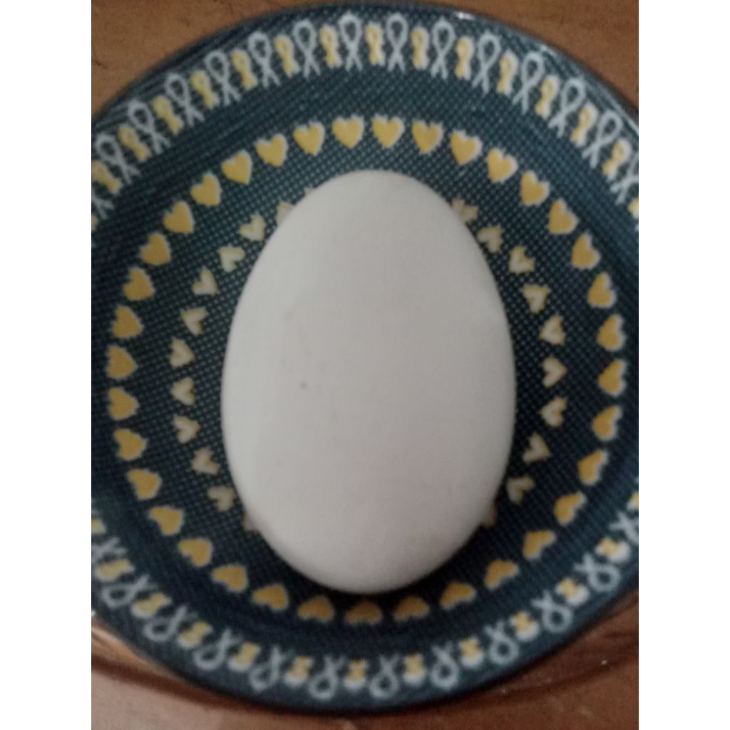 

Telur Angsa / Telur Soang Fresh per Butir