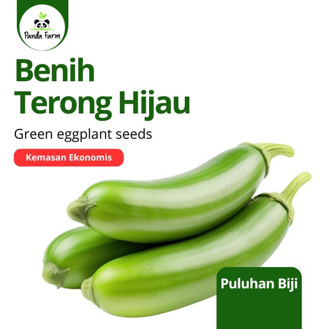Benih Biji Bibit Lokal Unggu Terong Hijau