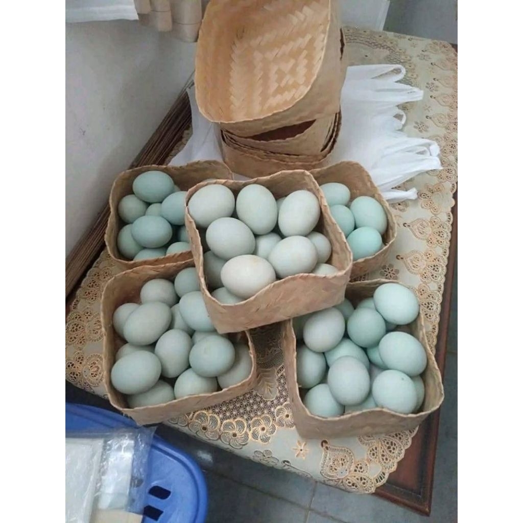 

Telur Asin Omega Masir dan Gurih Isi 12 Butir [Tradisional Homemade]