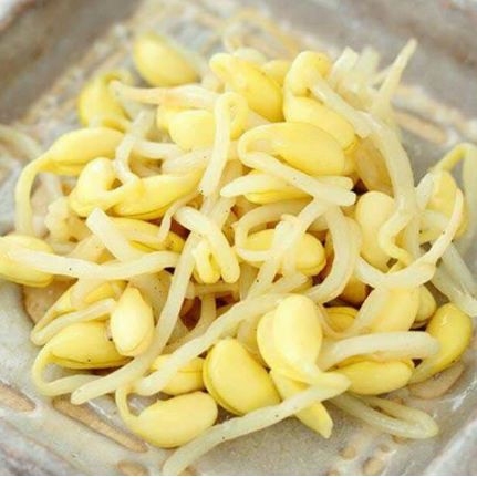 

Toge kedele / Tauge kedelai / kecambah dele 250 gram