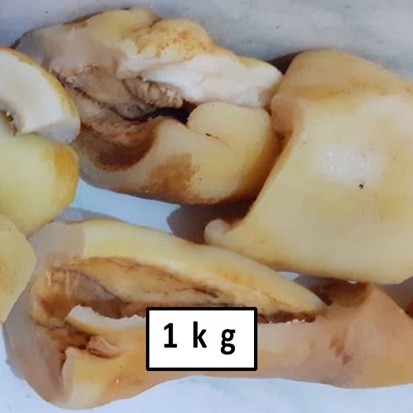 

KIKIL SAPI TEBAL SUDAH REBUS BERSIH