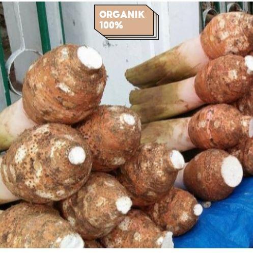 TALAS BOGOR MENTAH 1KG