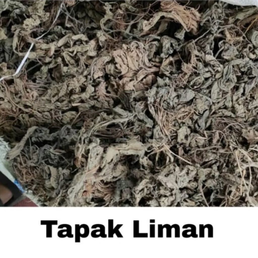 

TAPAK LIMAN KERINV 1KG