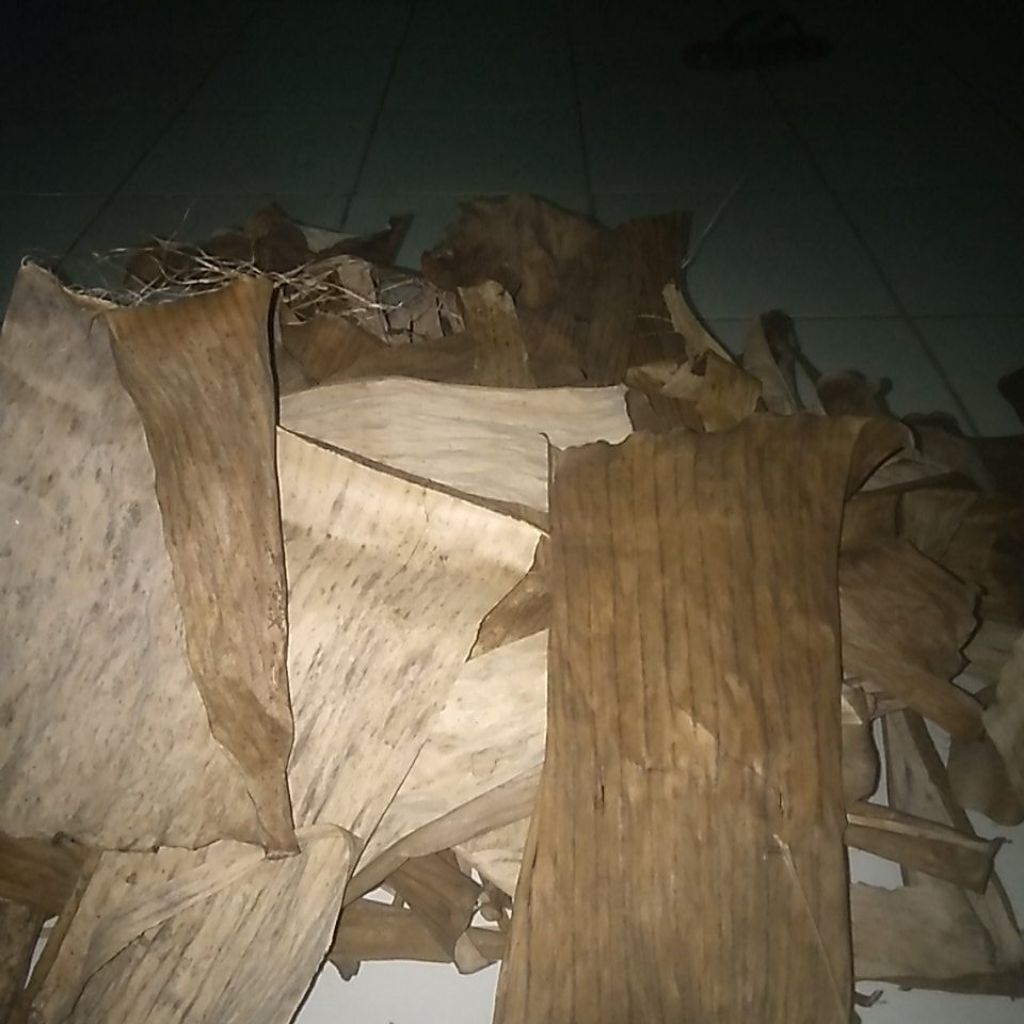 

500 grm daun pisang kiring untuk jangrik