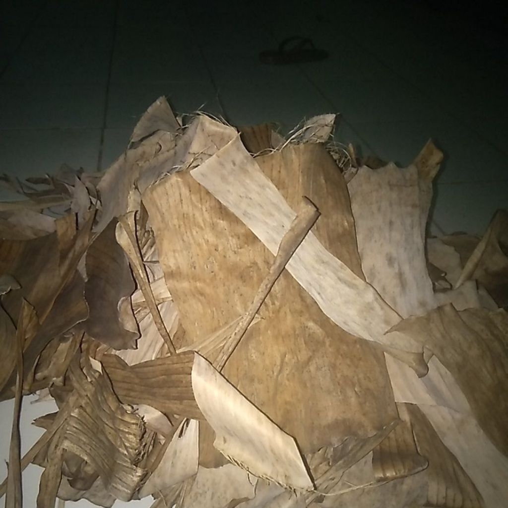 

500 gram DAUN PISANG KIRING/DAUN PISANG COKLA KARARAS uNTUK TERNAK JANGRIK