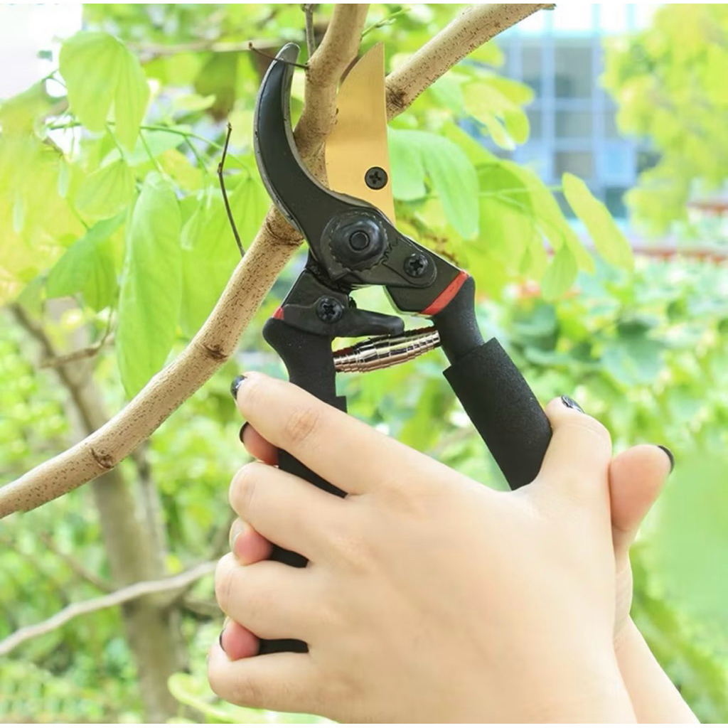 Gunting Dahan / Ranting Bunga Tanaman /gunting dahan /PVC - Gunting Kebun & Taman /  ranting