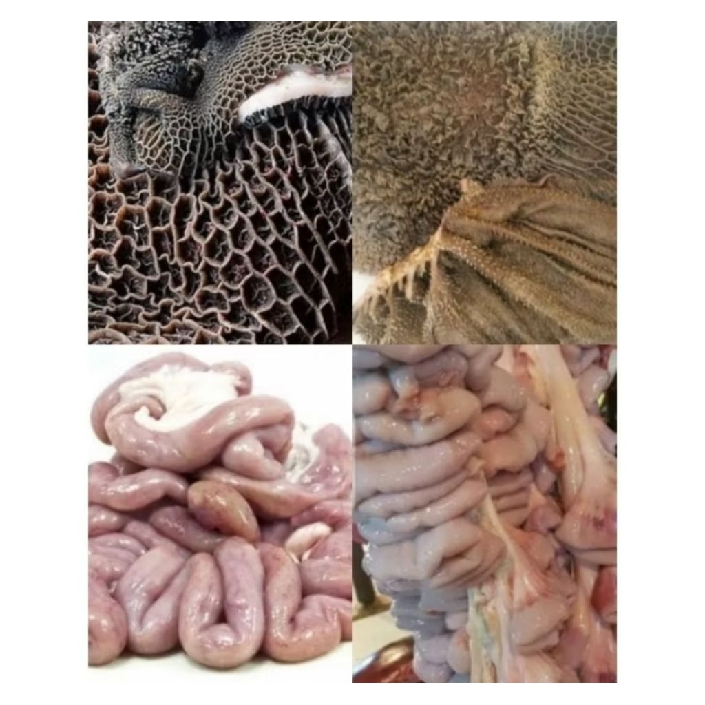 

Usus Sapi Bersih 500g-1kg