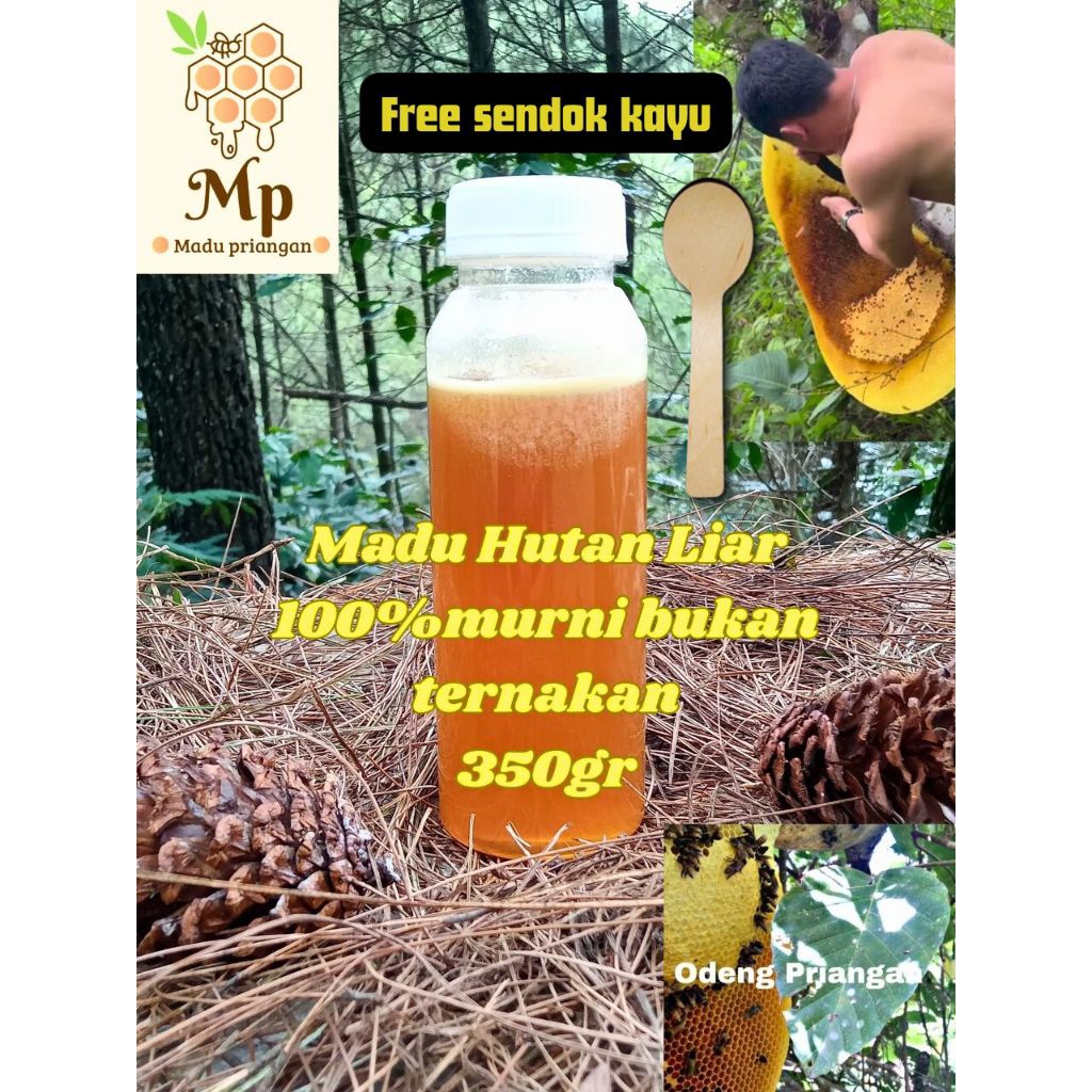 

Madu Hutan Liar atau madu Odeng 350gr 100% murni hasil alam ( bukan ternakan )