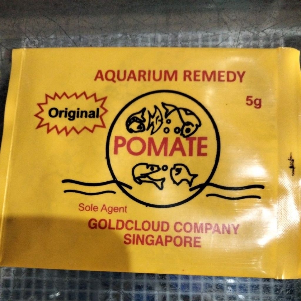 pomate asli