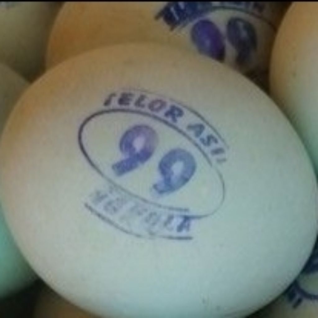 

Telur bebek 99 pengkol