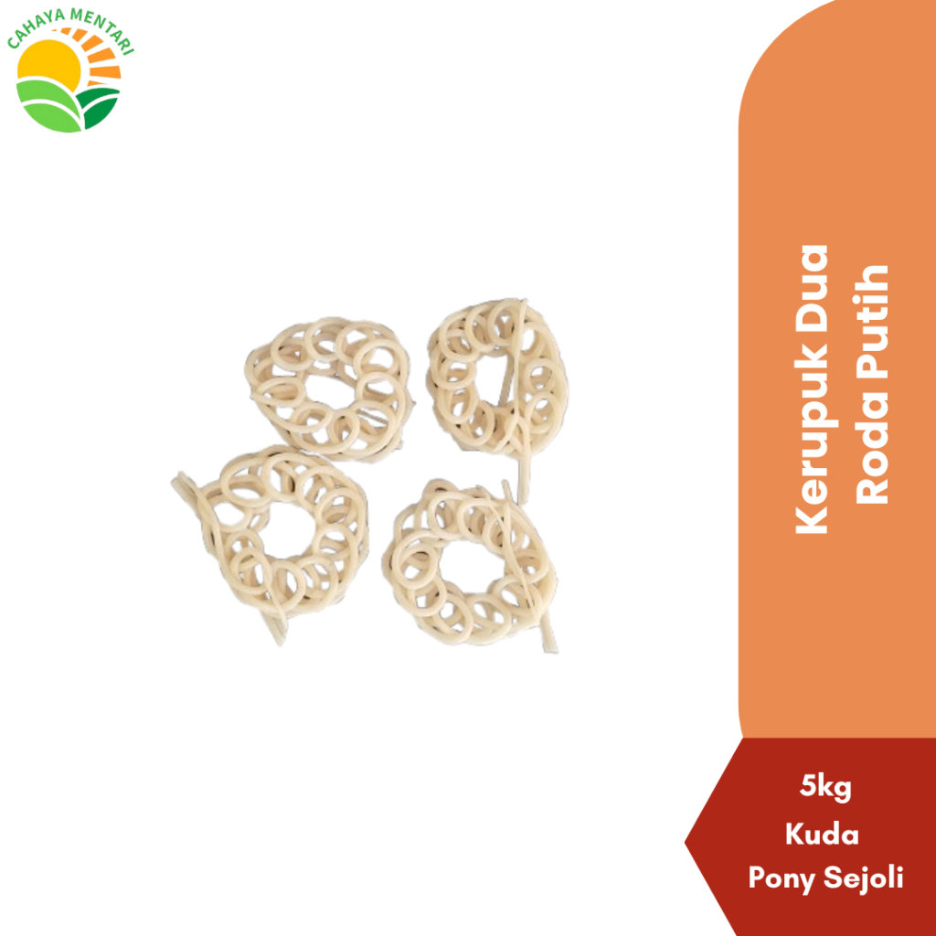 

TERLARIS KERUPUK SEBLAK RASA BAWANG 5KG CAP KUDA PONY SEJOLI DUA RODA PUTIH