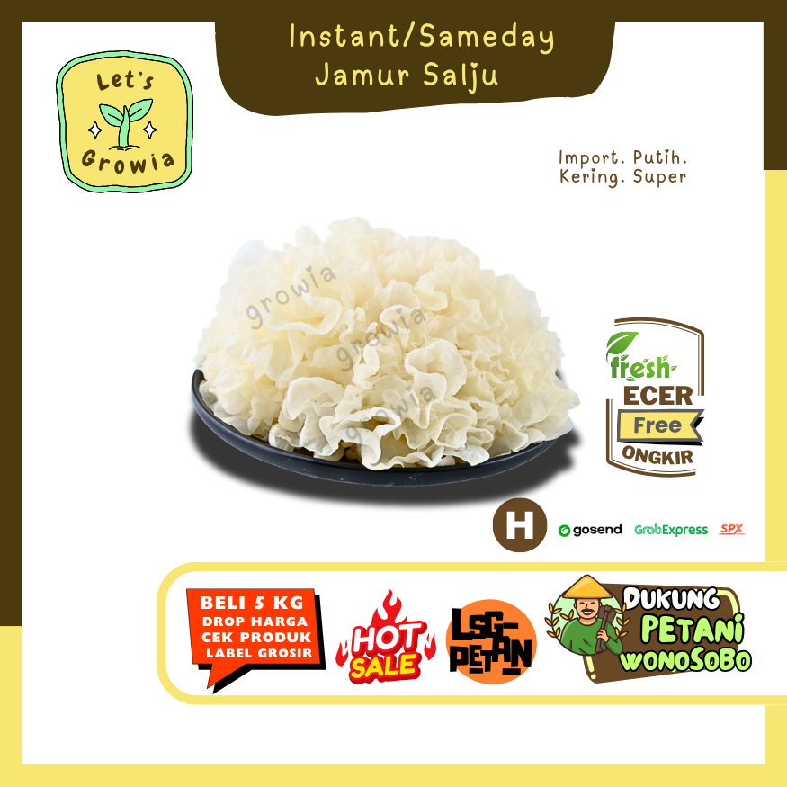 

Growia || Jamur Salju Putih / Jamur Matahari -- Hasil Petani Langsung Ecer Sayur Gunung (H)