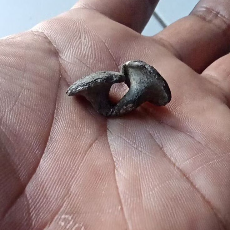 kabudan temuan sungai bengawan