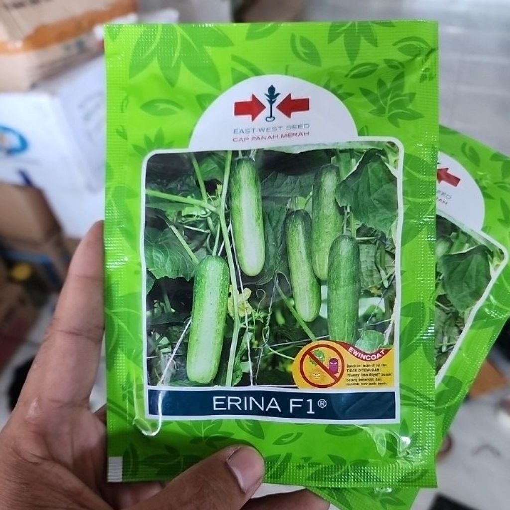 

Benih timun ERINA f1 800s epx 08 26 original