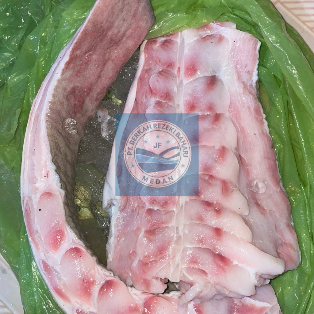 

Daging Ikan Pari Segar per Kg