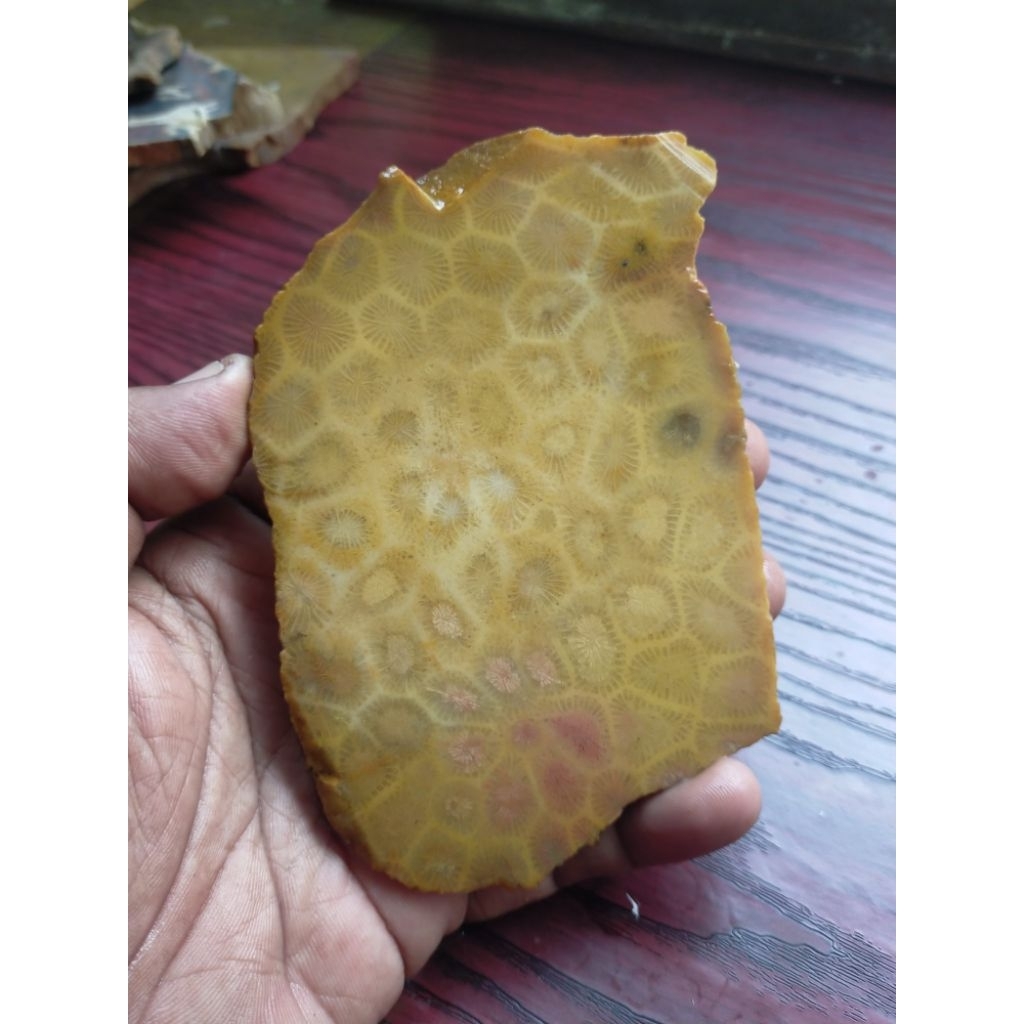 batu bahan natural teratai lipan