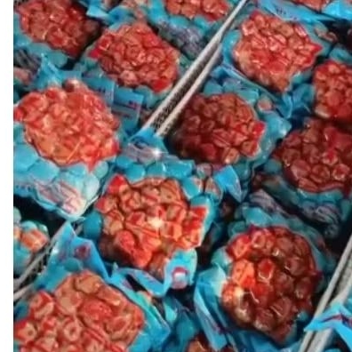 

bakso panglima isi 50