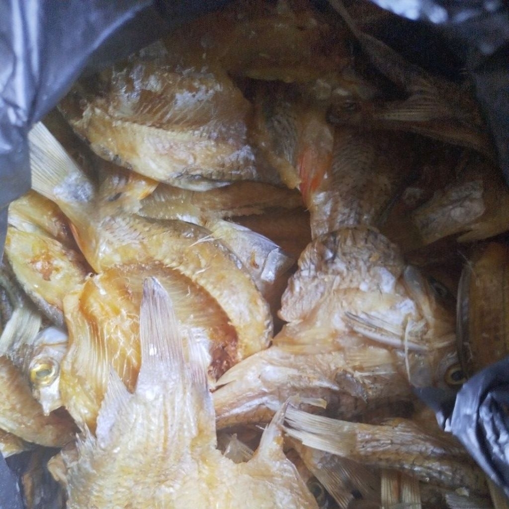 

Ikan gabus ikan asin ikan kering ikan air tawar
