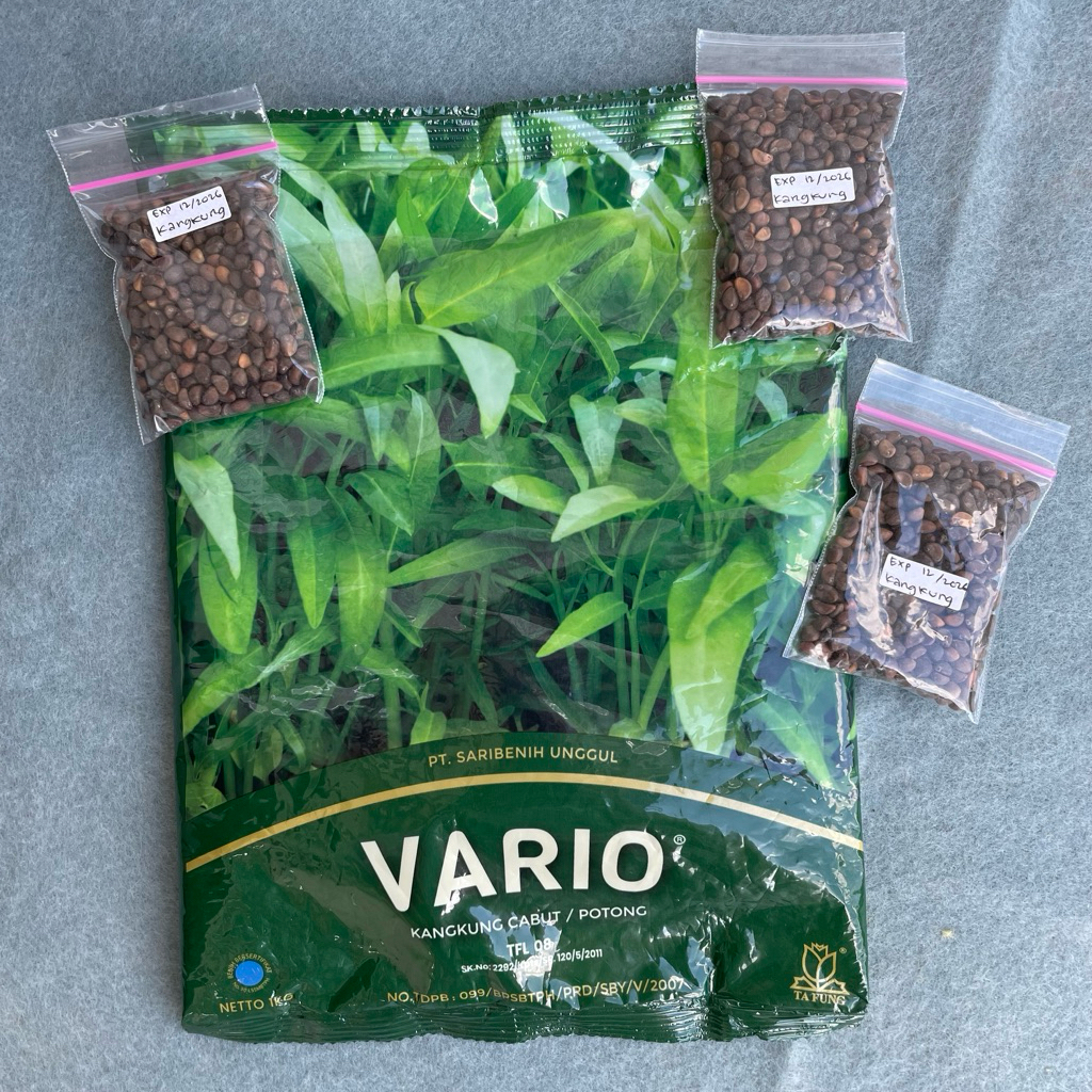 

benih kangkung / benih kangkung unggul vario