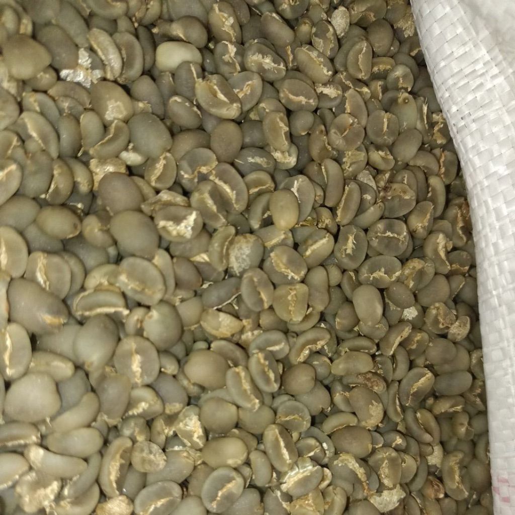 

Green Bean Arabika G1 Lintong