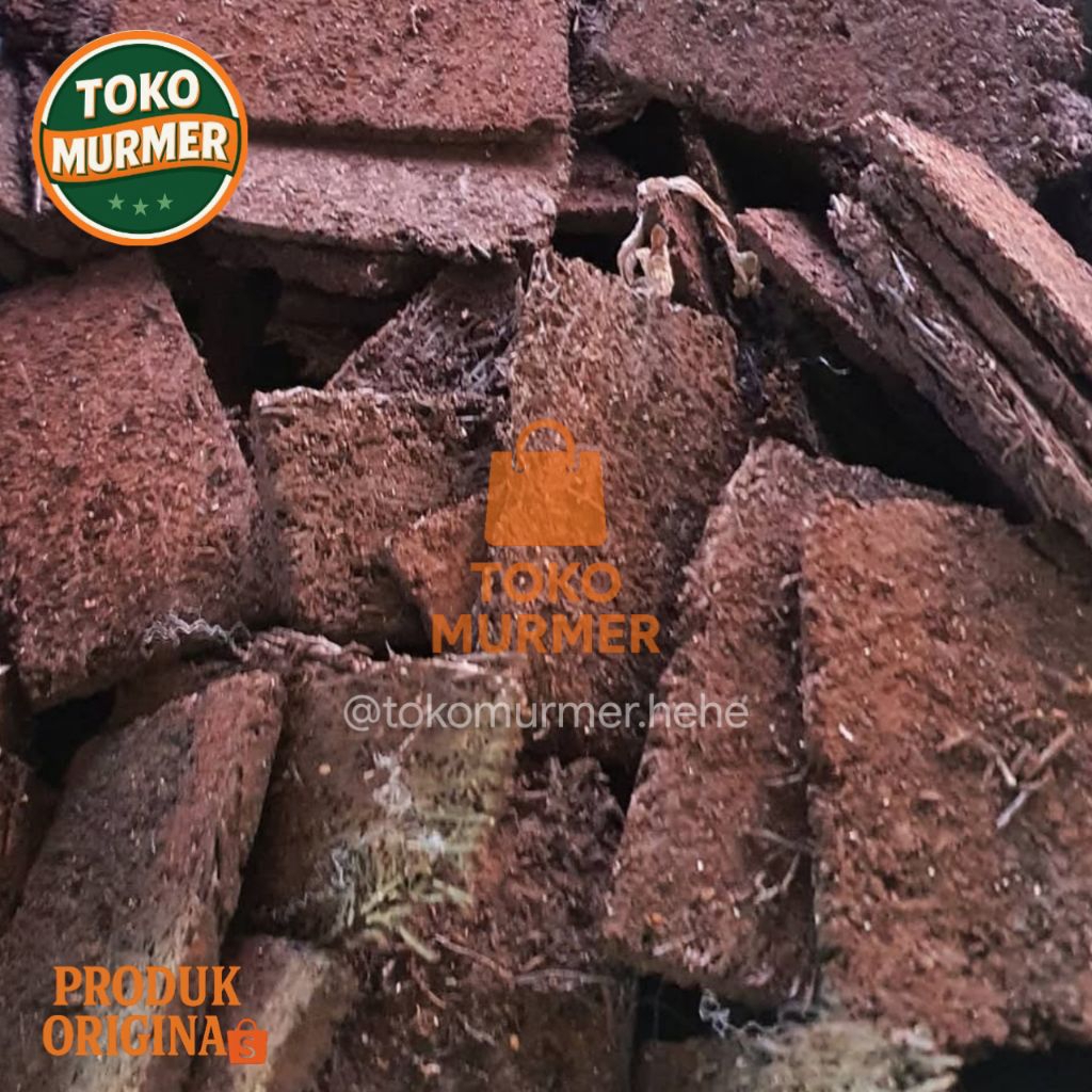 Media tanam pakis lempeng atau akar pakis ukuran 8 cm x 8 cm media tanam kokoh dan kuat cocok untuk 