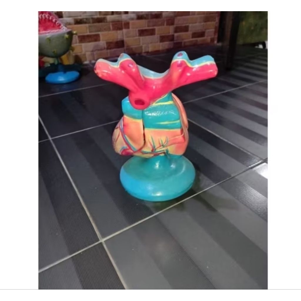 

Torso jantung