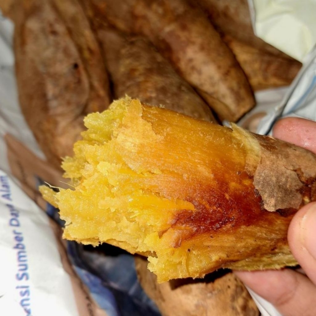 

Ubi Cilembu Manis Ukuran Besar Fresh Paket 10 Kg Asli Tegal