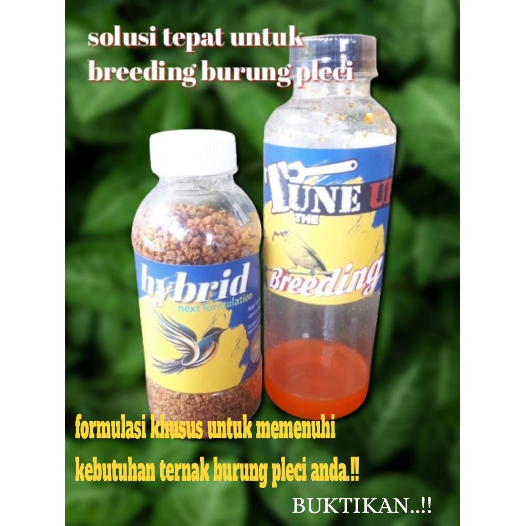 paket lengkap TUNE UP BREEDING PLUS + VOER HYBRID . pakan dan vitamin untuk ternak burung pleci