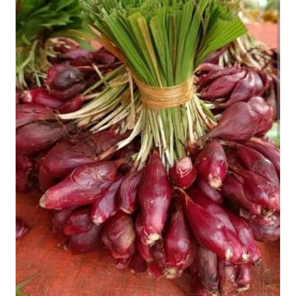 

bawang dayak segar 1kg
