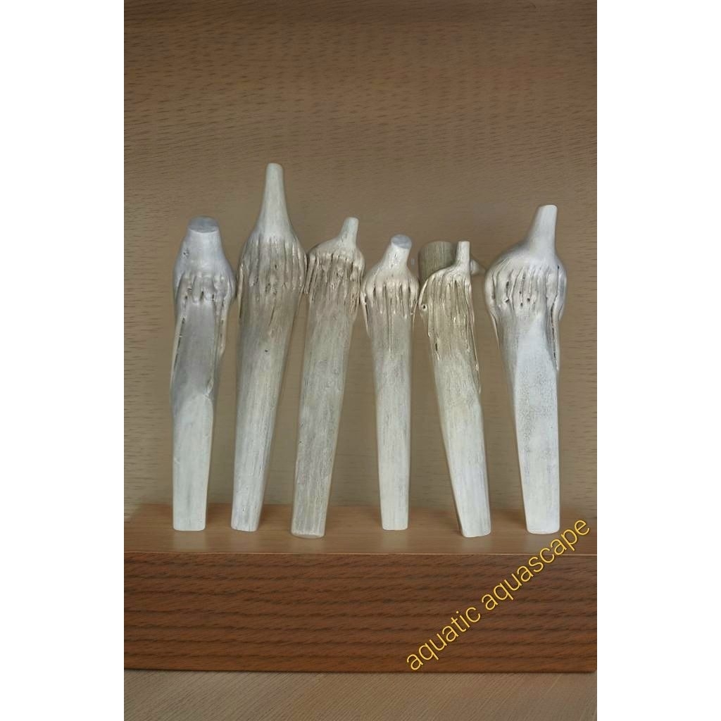 viva once cangklong tlogosari unik