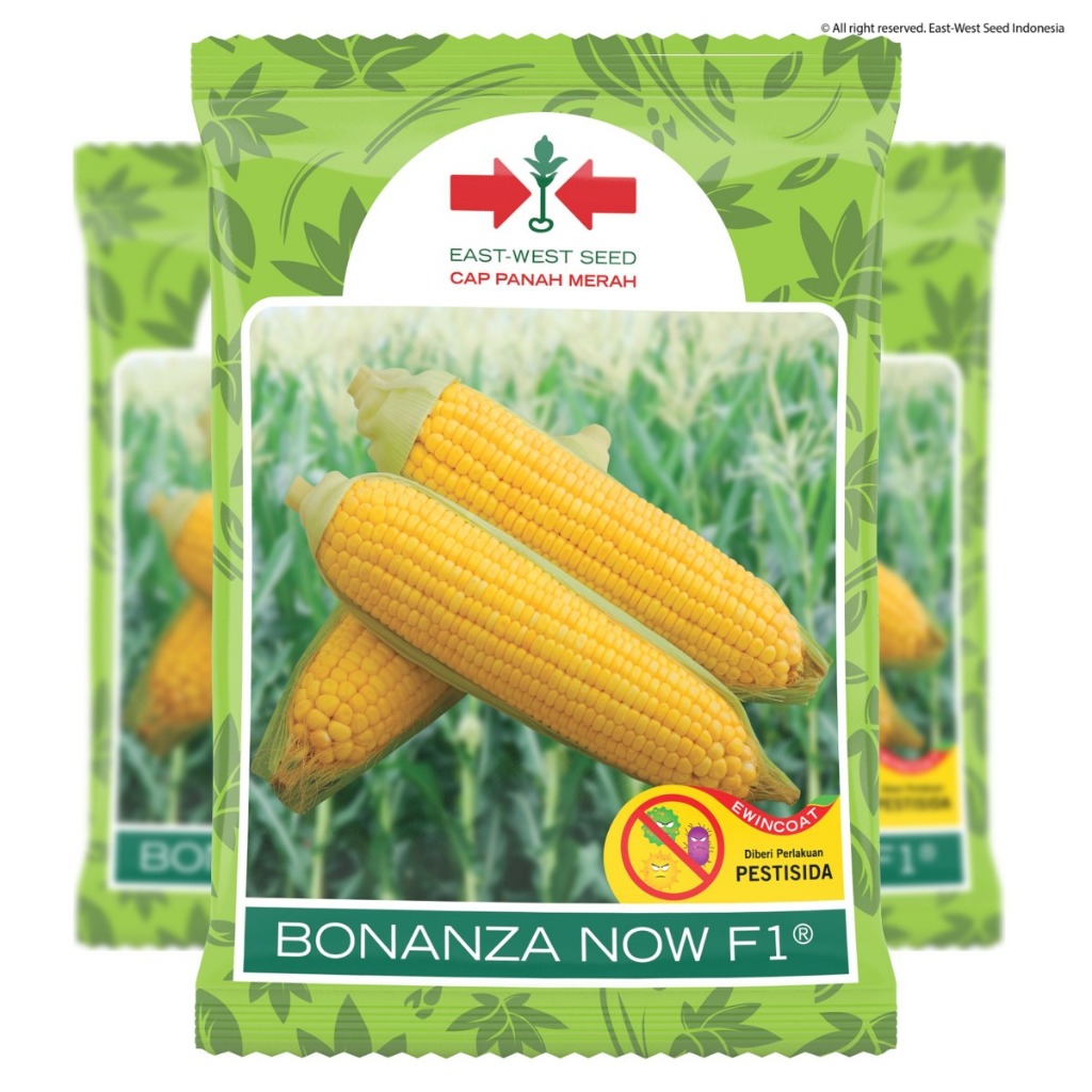 

PROMO SPESIAL !!! Benih jagung manis BONANZA NOW F1 ORIGINAL isi 1800 Biji exp 2026