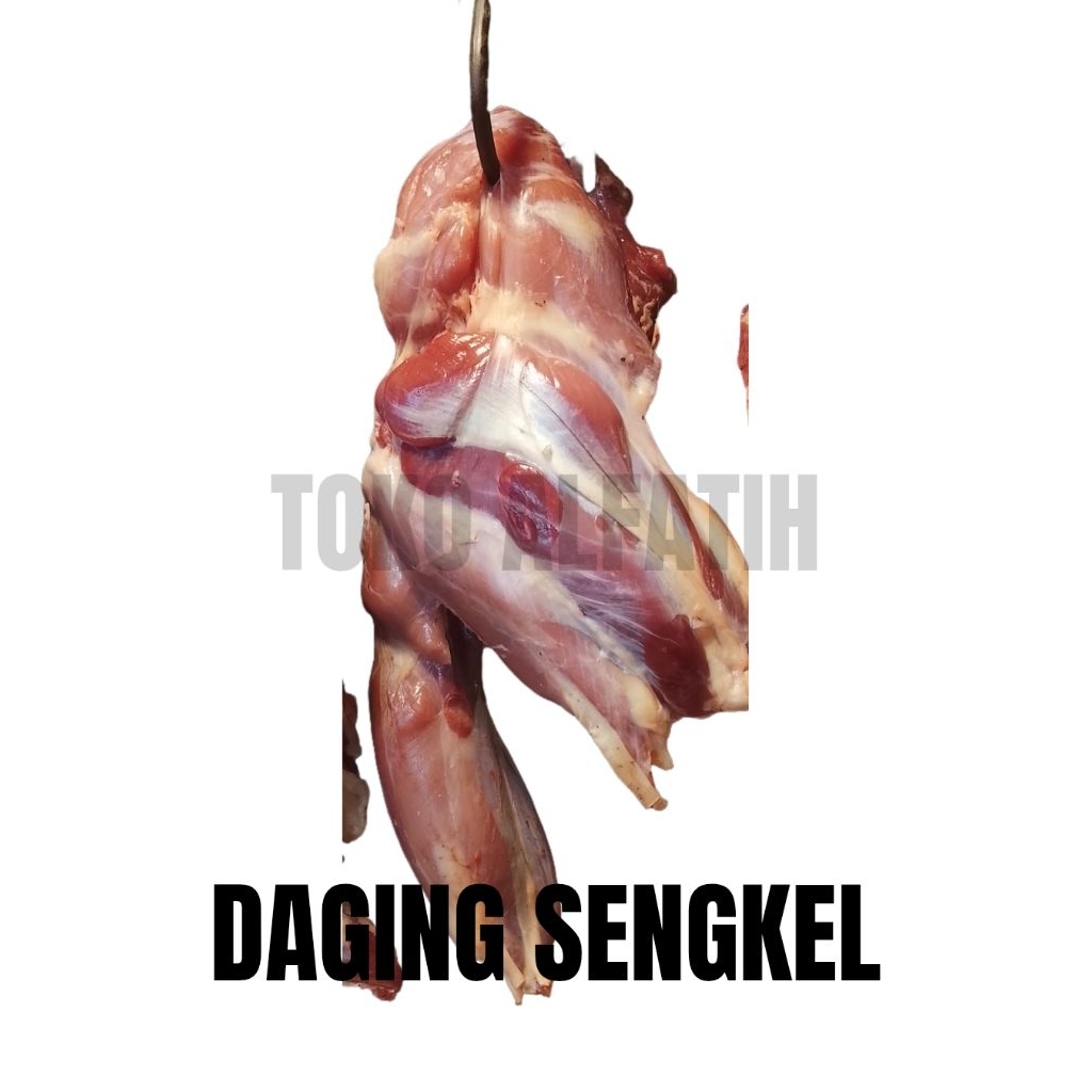 

DAGING SENGKEL SAPI PREMIUM & FRESH (Cocok untuk tongseng dan semur)