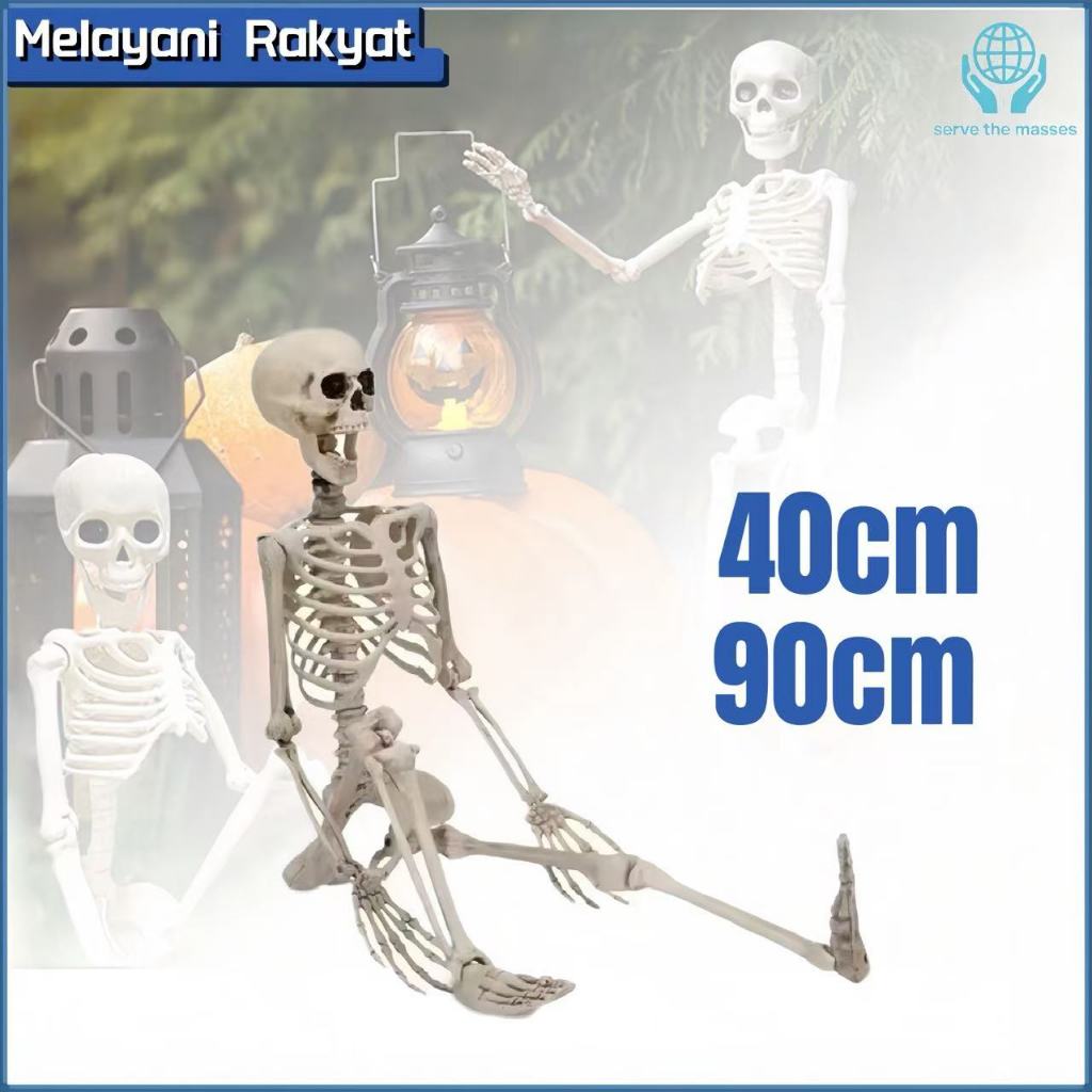 

90/40cm Model Kerangka Manusia Dewasa - Alat Peraga Pendidikan Ukuran Tinggi 90/40cm