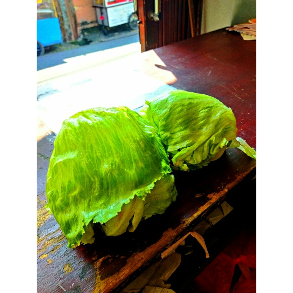 

sayur letuce 1kg