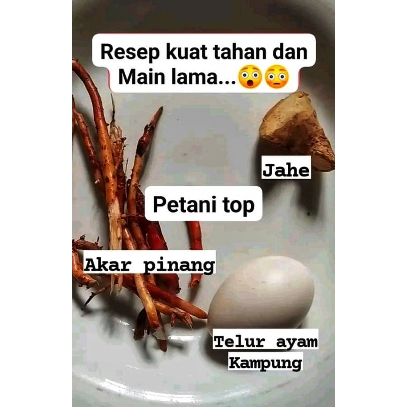 

obat herbal akar pinang 1 kg suplemen kesehatan