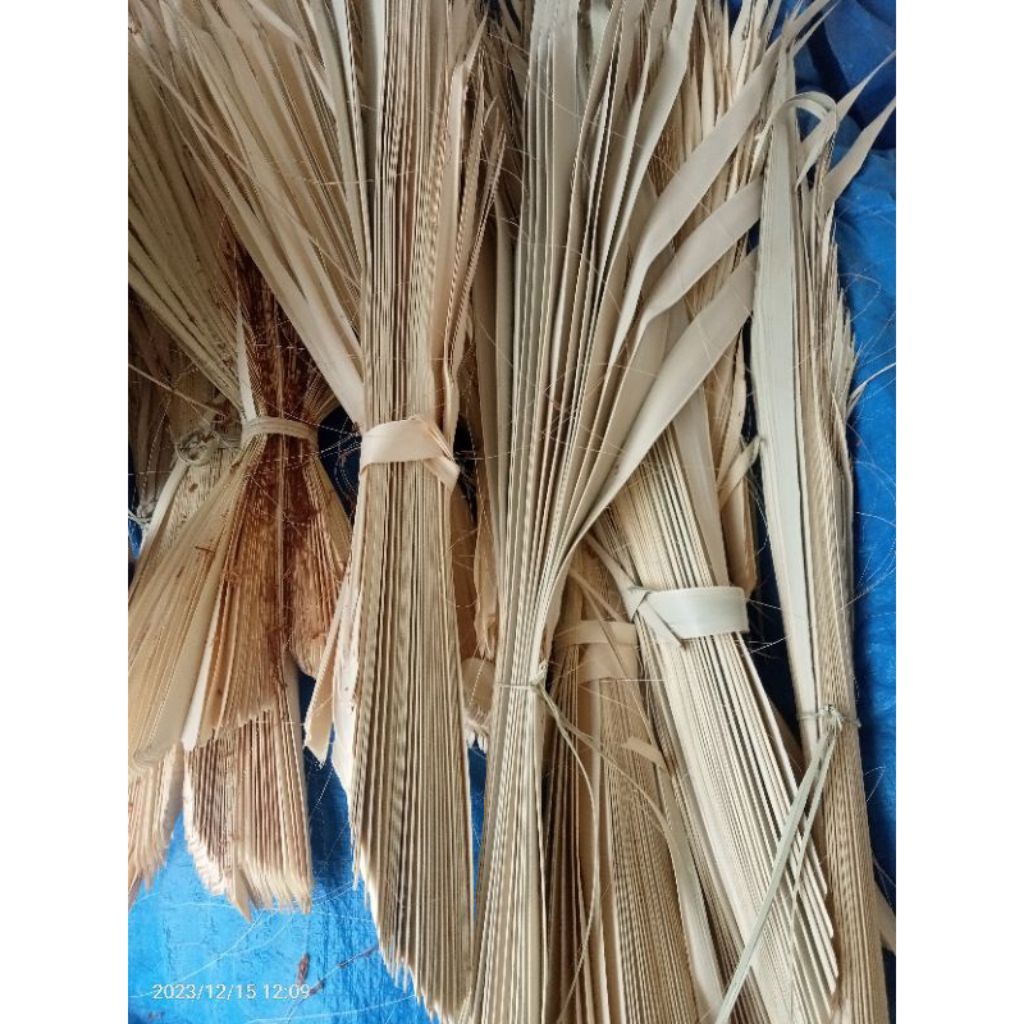 

Daun Siwalan/ Lontar/ Ental/ Ibung MUDA Kering Bahan Penjor Dekorasi Kerajinan Lainnya 1 PUCUK FULL SUPER