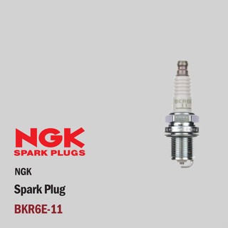 BUSI MOBIL NGK BKR6E-11 BMW 318 328 E46 320i 325i E46 520i E60 530i E60 M5 X5 Original