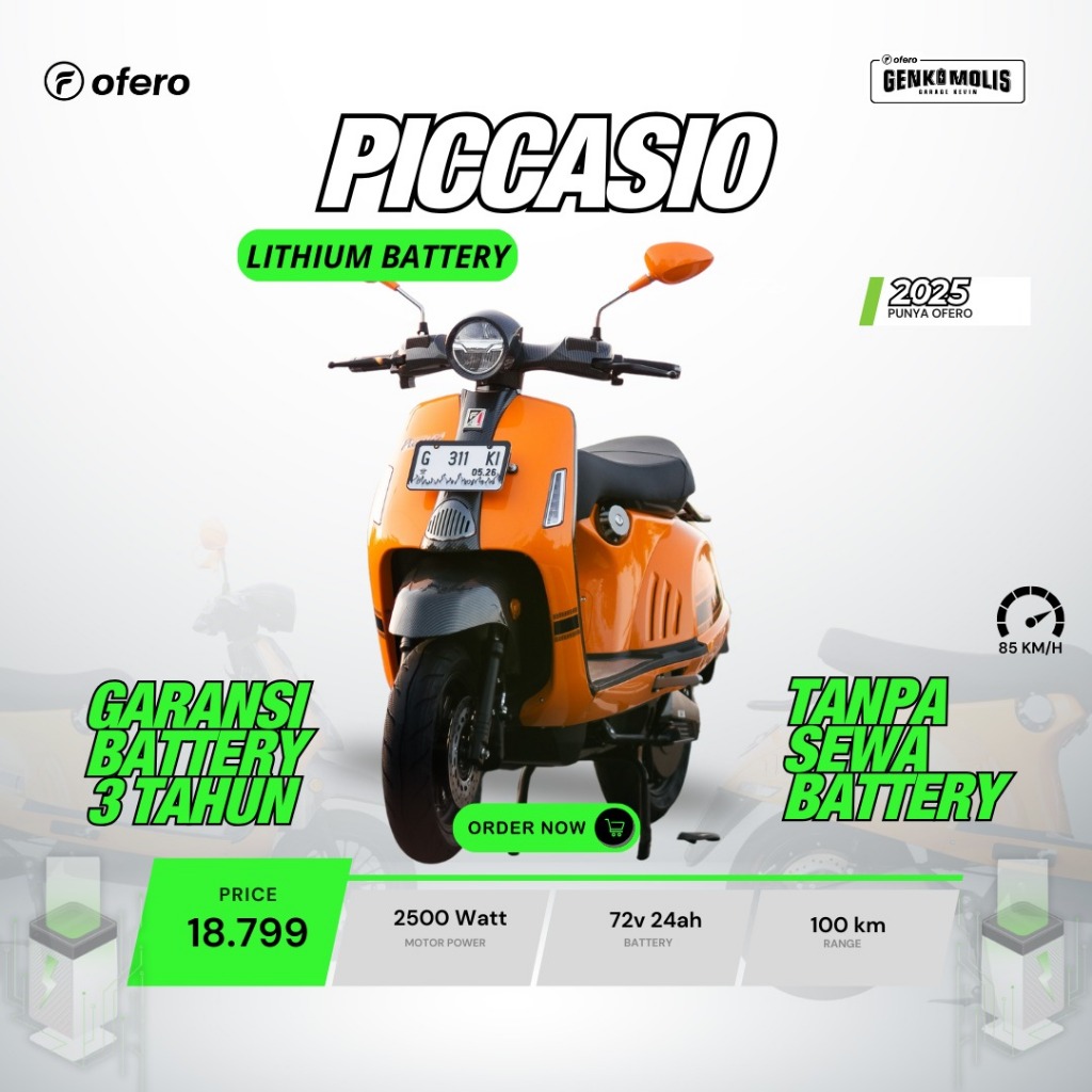 MOTOR LISTRIK OFERO PICASSIO