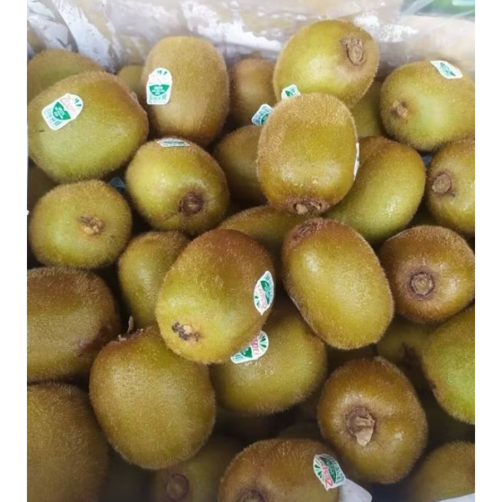 

BUAH KIWI HIJAU ZESPRI KIWI GREEN NEW ZEALAND 500GR