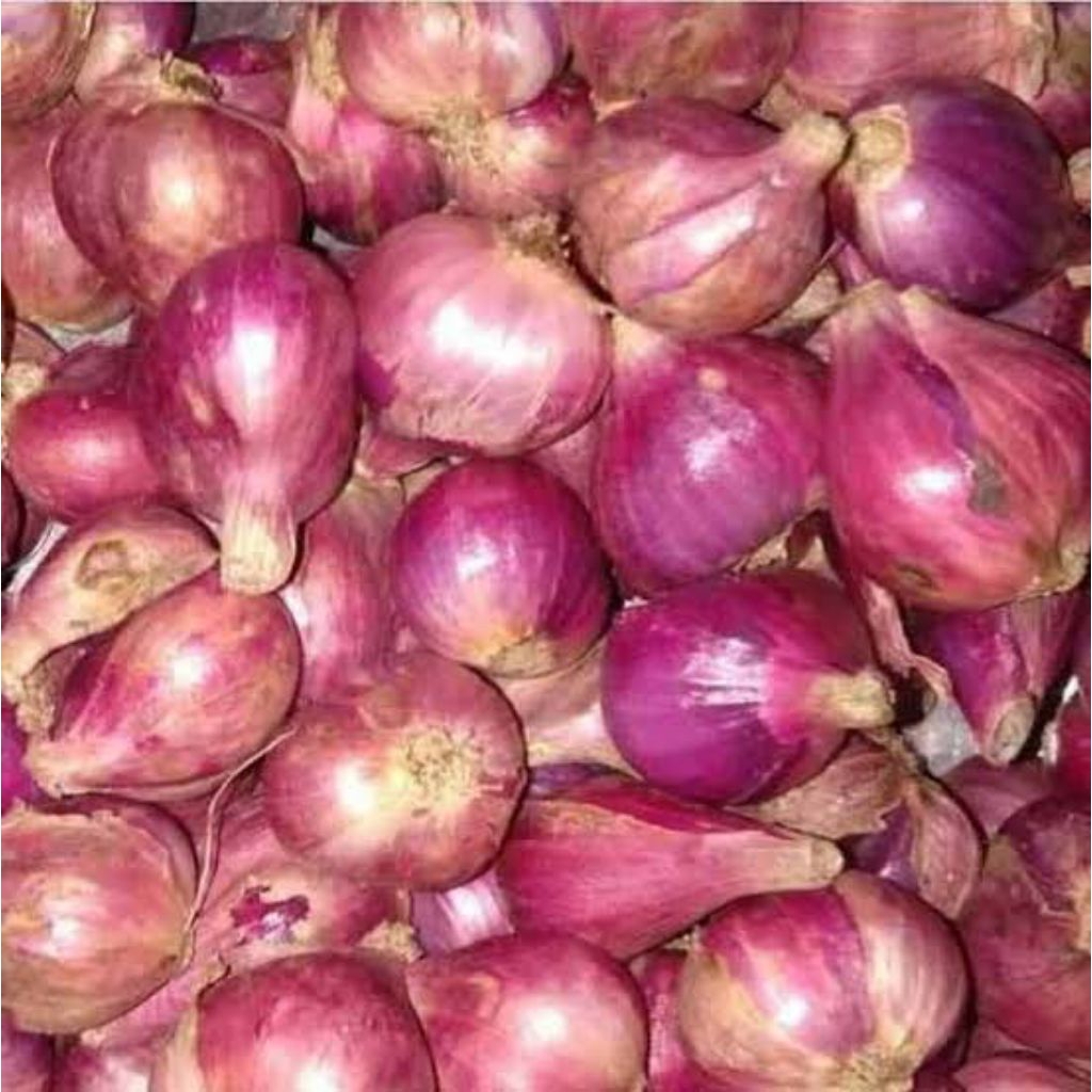 

Bawang Merah Brebes