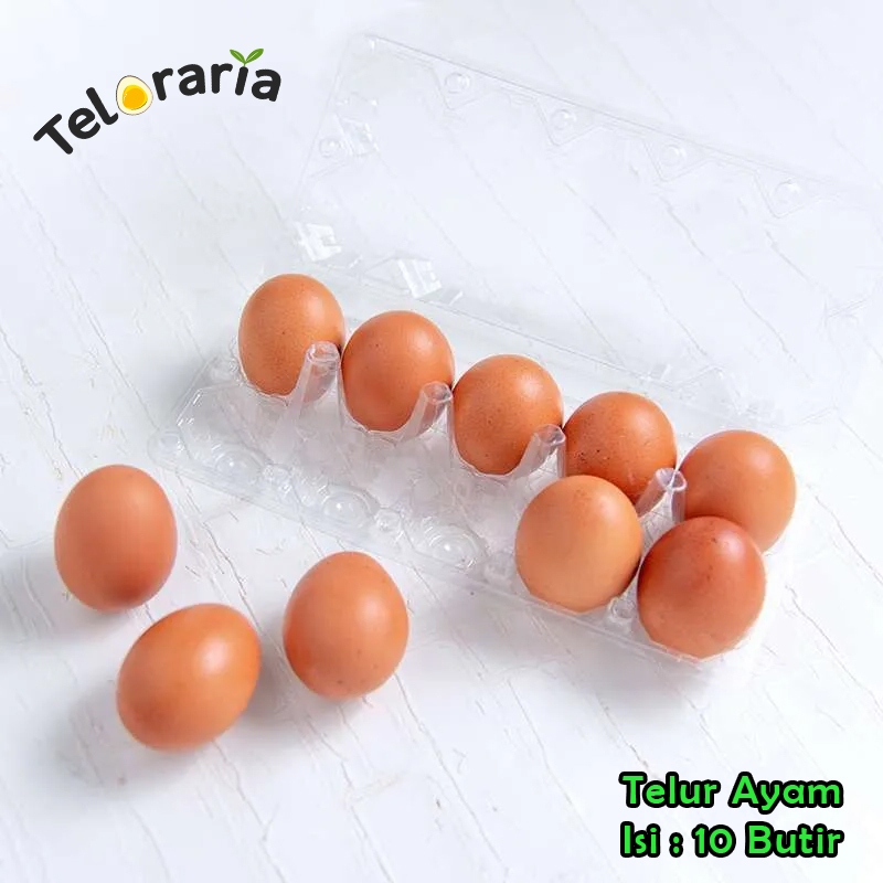

Teloraria - Telur Ayam Negeri 10 Butir Premium