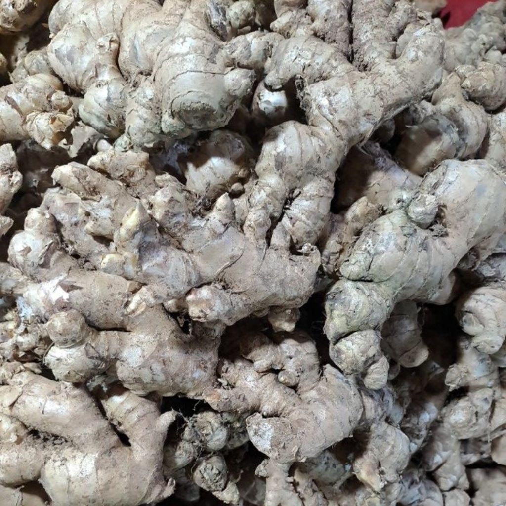 

Jahe per Ons Segar Bandung