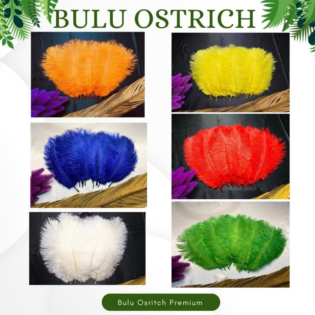 Grosir Bulu Ostrich Grade A Isi 10 Helai Kualitas Premium Replika