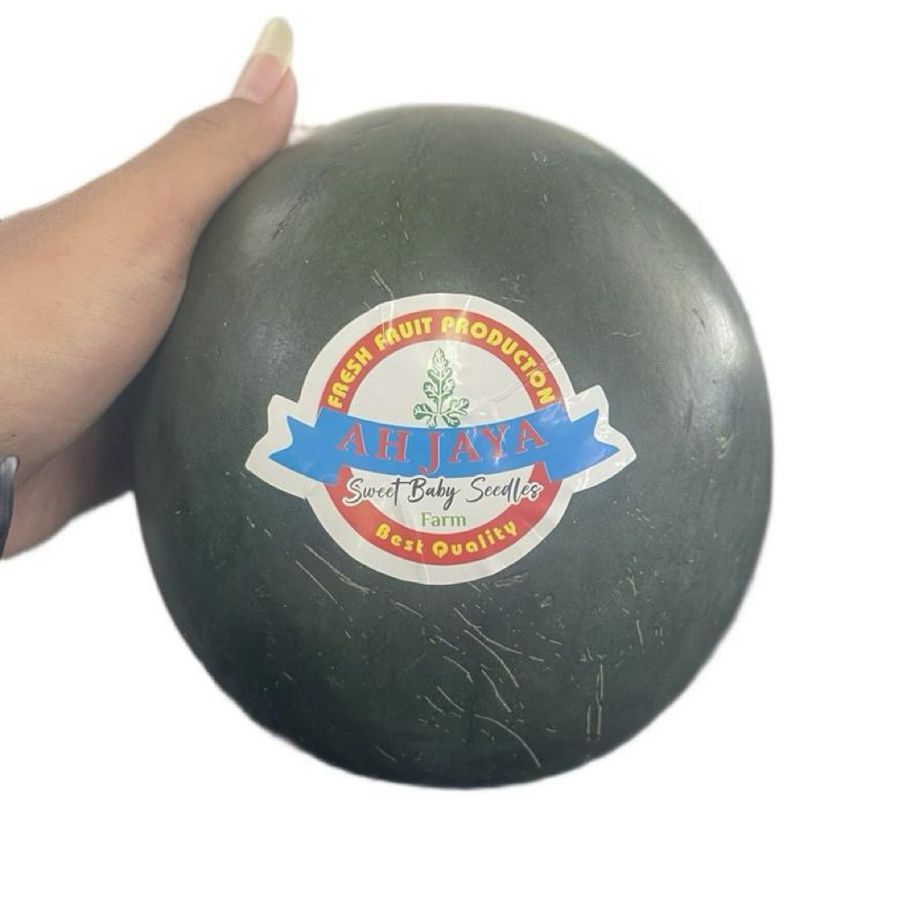 

Semangka Sweet Baby Seedles | Semangka Merah Tanpa biji | Pcs
