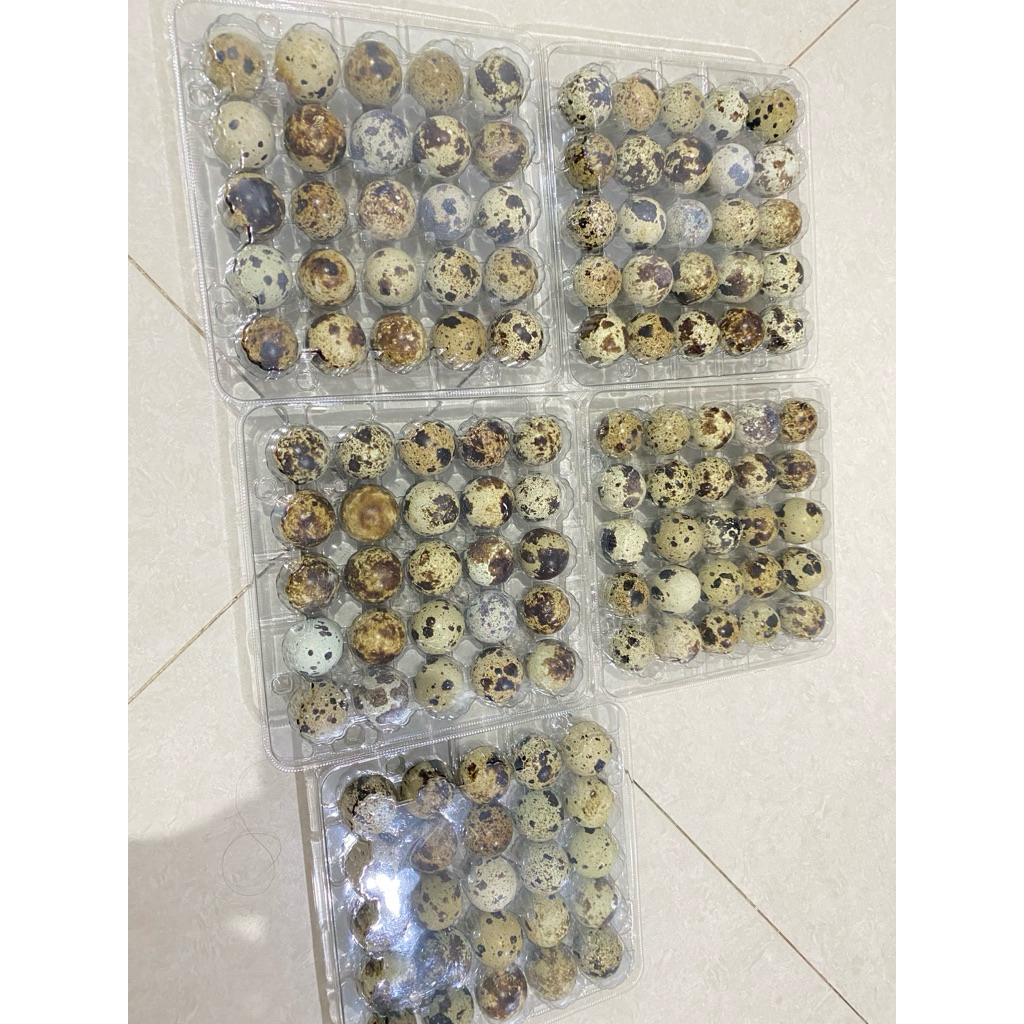 

telur puyuh segar by Kiano