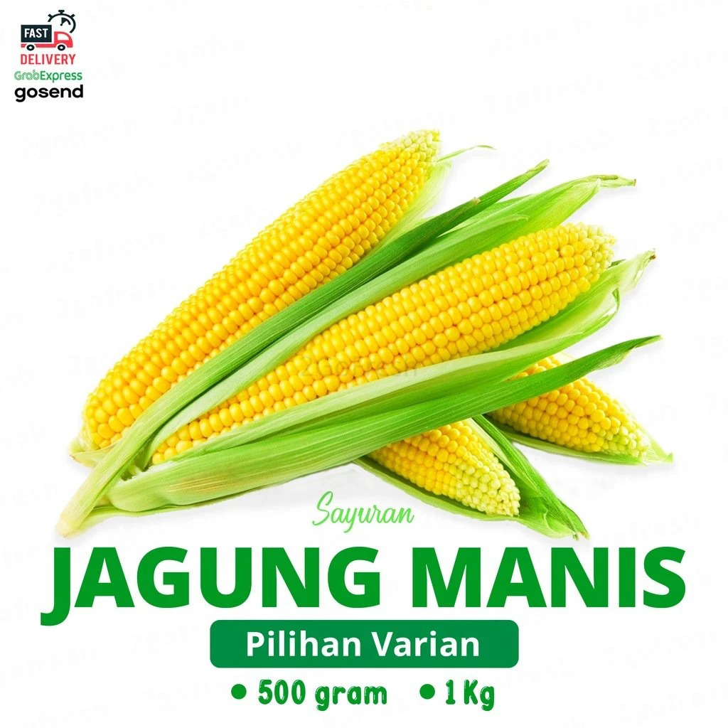 

Jagung Manis/ Sweet Corn Fresh - Sayur Sayuran