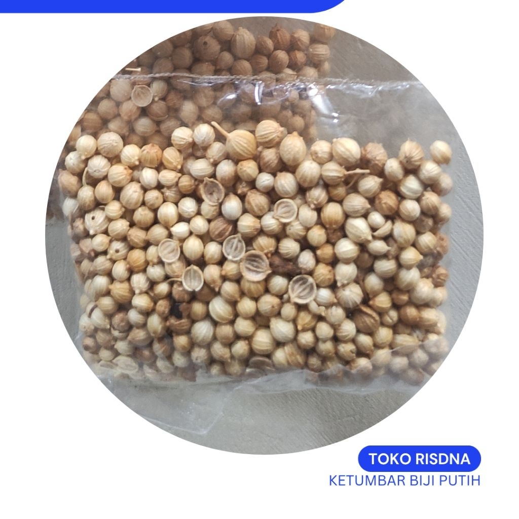 

[HARGA GROSIR] KETUMBAR BIJI PUTIH BUMBU DAPUR KUALITAS BAGUS MURAH 100GRAM 200GRAM 500GRAM 1KG
