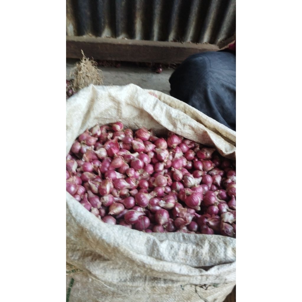 

Bawang Merah Kecil Enak Murah