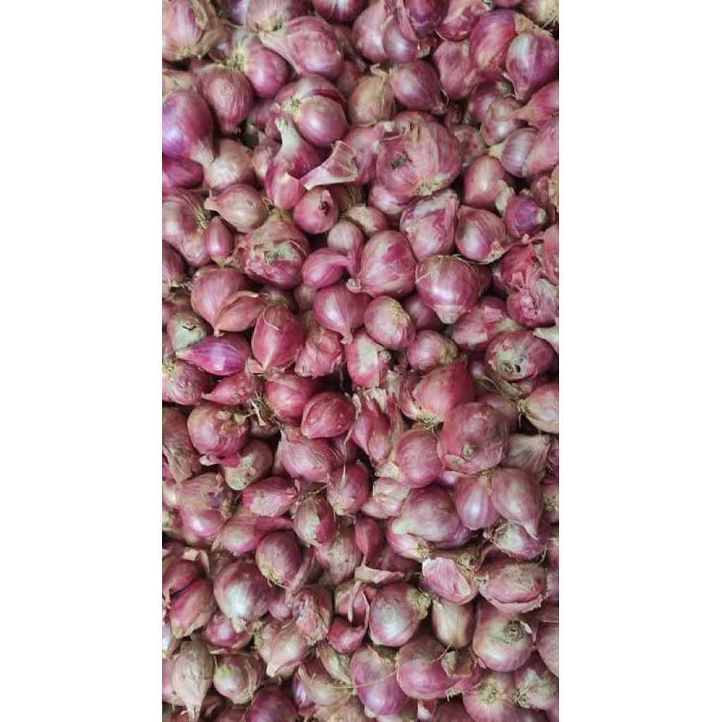 

Bawang merah brebes super FRESH